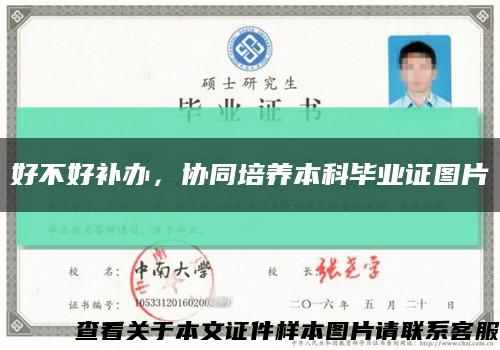 好不好补办，协同培养本科毕业证图片缩略图