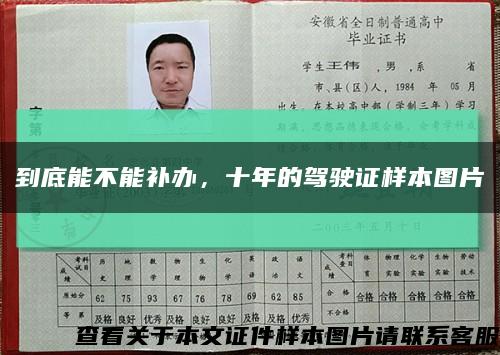 到底能不能补办，十年的驾驶证样本图片缩略图