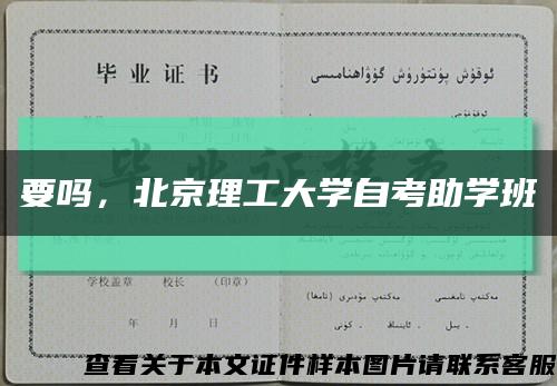 要吗，北京理工大学自考助学班缩略图