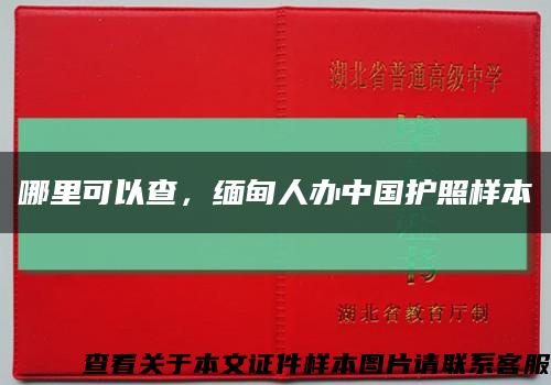 哪里可以查，缅甸人办中国护照样本缩略图