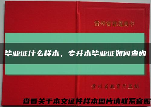 毕业证什么样本，专升本毕业证如何查询缩略图