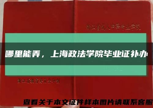 哪里能弄，上海政法学院毕业证补办缩略图
