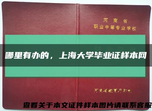 哪里有办的，上海大学毕业证样本网缩略图