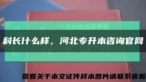 科长什么样，河北专升本咨询官网缩略图