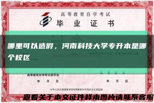 哪里可以造假，河南科技大学专升本是哪个校区缩略图