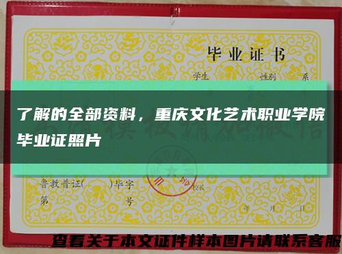 了解的全部资料，重庆文化艺术职业学院毕业证照片缩略图