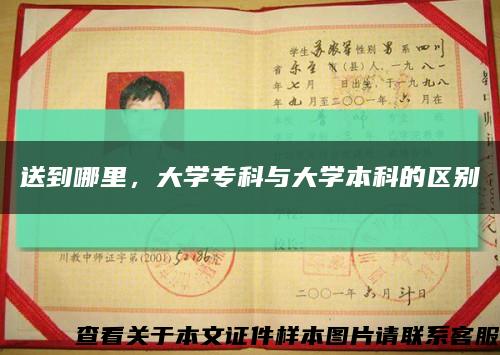 送到哪里，大学专科与大学本科的区别缩略图