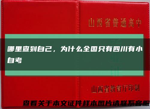 哪里查到自己，为什么全国只有四川有小自考缩略图