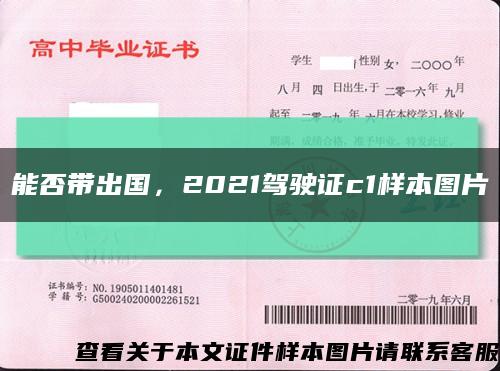 能否带出国，2021驾驶证c1样本图片缩略图