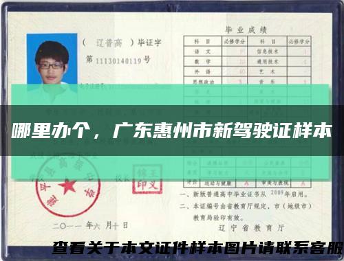 哪里办个，广东惠州市新驾驶证样本缩略图
