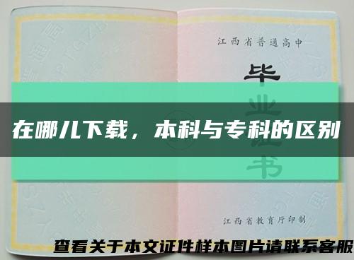 在哪儿下载，本科与专科的区别缩略图