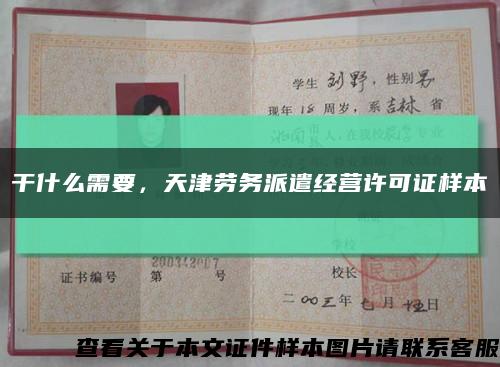 干什么需要，天津劳务派遣经营许可证样本缩略图