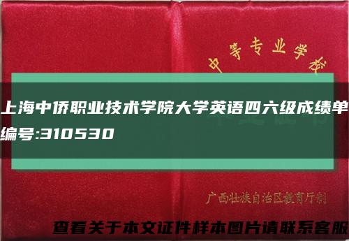 上海中侨职业技术学院大学英语四六级成绩单编号:310530缩略图