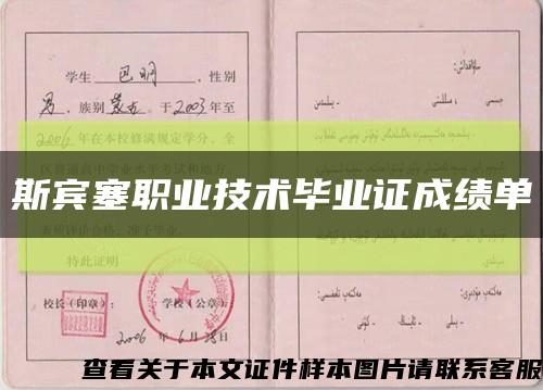 斯宾塞职业技术毕业证成绩单缩略图