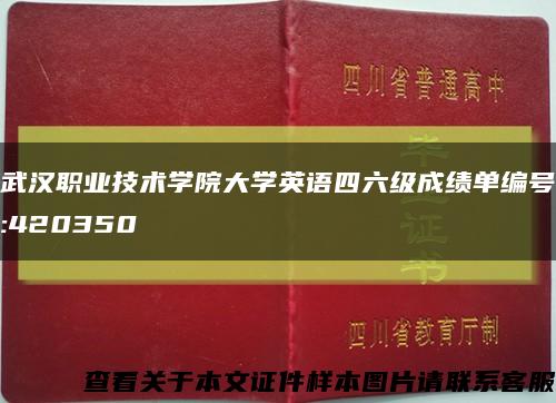 武汉职业技术学院大学英语四六级成绩单编号:420350缩略图