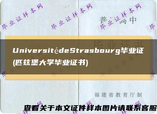 UniversitédeStrasbourg毕业证(匹兹堡大学毕业证书)缩略图