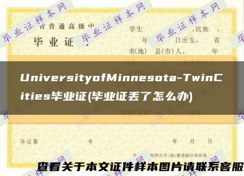 UniversityofMinnesota-TwinCities毕业证(毕业证丢了怎么办)缩略图