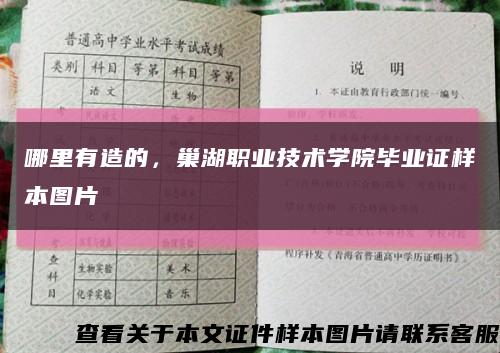 哪里有造的，巢湖职业技术学院毕业证样本图片缩略图