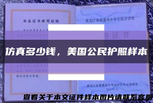 仿真多少钱，美国公民护照样本缩略图