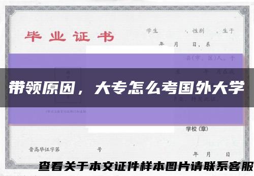 带领原因，大专怎么考国外大学缩略图