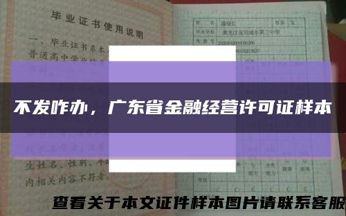 不发咋办，广东省金融经营许可证样本缩略图