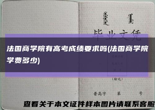 法国商学院有高考成绩要求吗(法国商学院学费多少)缩略图