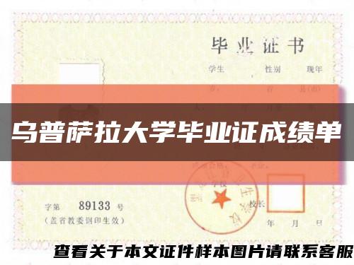 乌普萨拉大学毕业证成绩单缩略图