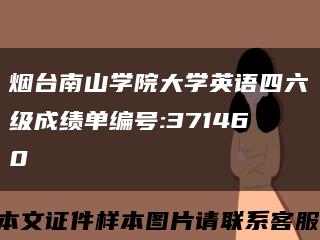 烟台南山学院大学英语四六级成绩单编号:371460缩略图