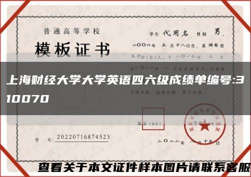 上海财经大学大学英语四六级成绩单编号:310070缩略图