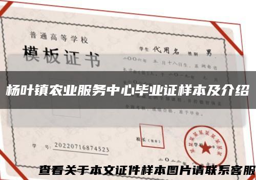 杨叶镇农业服务中心毕业证样本及介绍缩略图