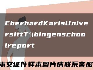 EberhardKarlsUniversittTübingenschoolreport缩略图