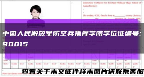 中国人民解放军防空兵指挥学院学位证编号:90015缩略图