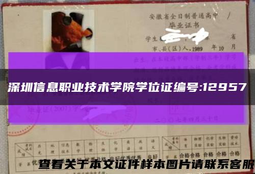 深圳信息职业技术学院学位证编号:12957缩略图