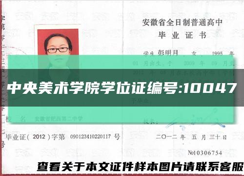 中央美术学院学位证编号:10047缩略图