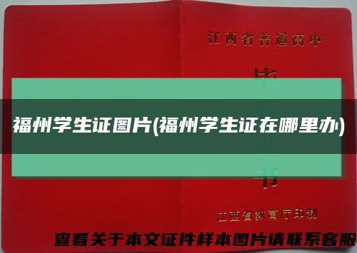 福州学生证图片(福州学生证在哪里办)缩略图