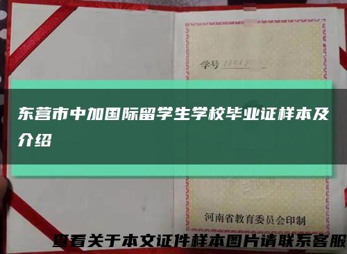 东营市中加国际留学生学校毕业证样本及介绍缩略图