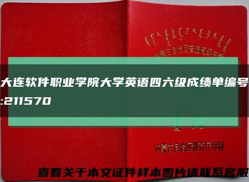 大连软件职业学院大学英语四六级成绩单编号:211570缩略图