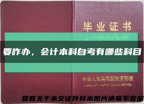 要咋办，会计本科自考有哪些科目缩略图