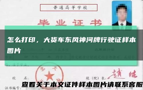 怎么打印，大货车东风神河牌行驶证样本图片缩略图