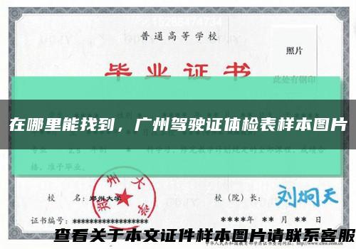 在哪里能找到，广州驾驶证体检表样本图片缩略图