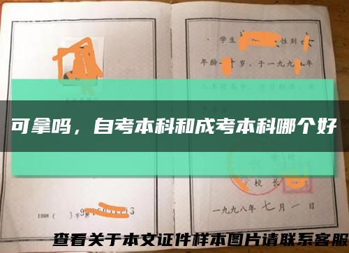 可拿吗，自考本科和成考本科哪个好缩略图