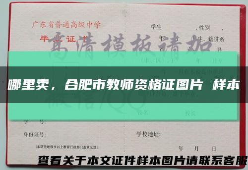 哪里卖，合肥市教师资格证图片 样本缩略图