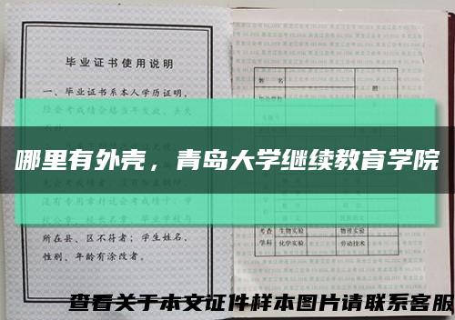 哪里有外壳，青岛大学继续教育学院缩略图