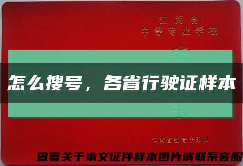 怎么搜号，各省行驶证样本缩略图