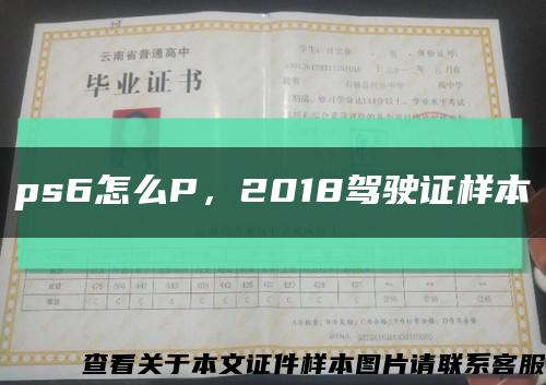 ps6怎么P，2018驾驶证样本缩略图