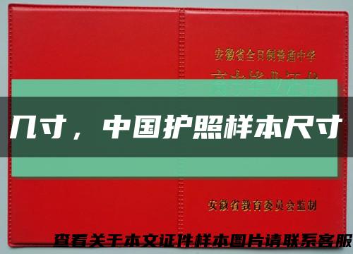 几寸，中国护照样本尺寸缩略图