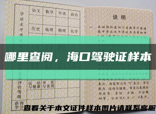 哪里查阅，海口驾驶证样本缩略图