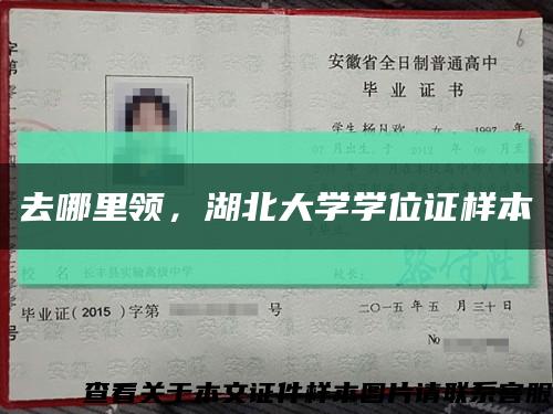 去哪里领，湖北大学学位证样本缩略图