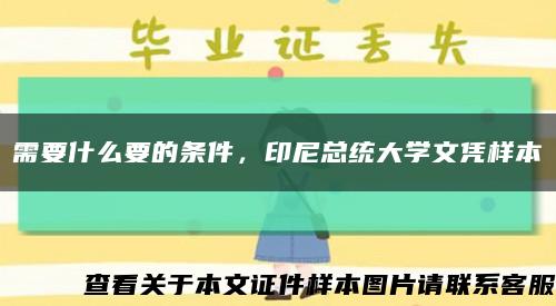 需要什么要的条件，印尼总统大学文凭样本缩略图