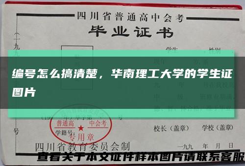 编号怎么搞清楚，华南理工大学的学生证图片缩略图
